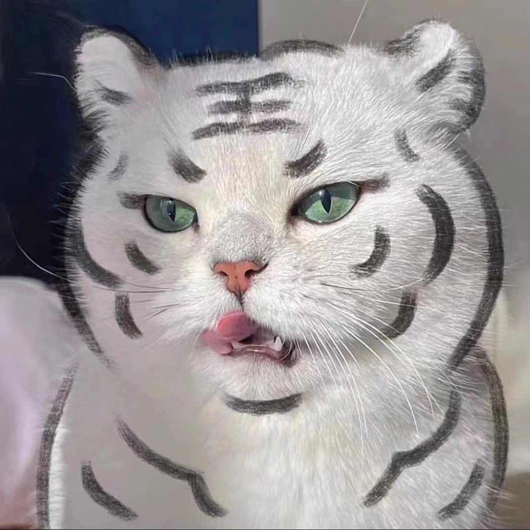 ✘✘✘