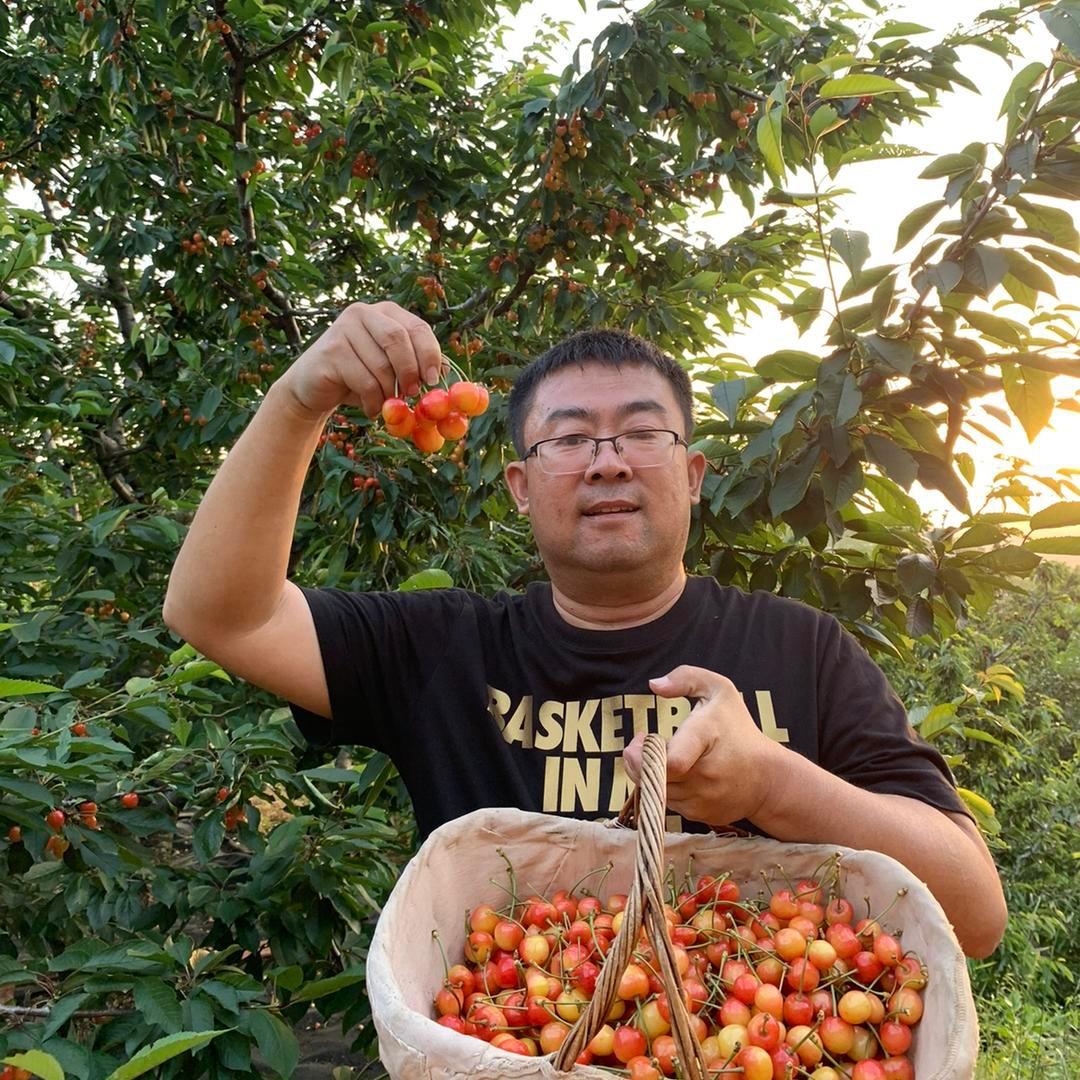 烟台瑞丰果树苗木