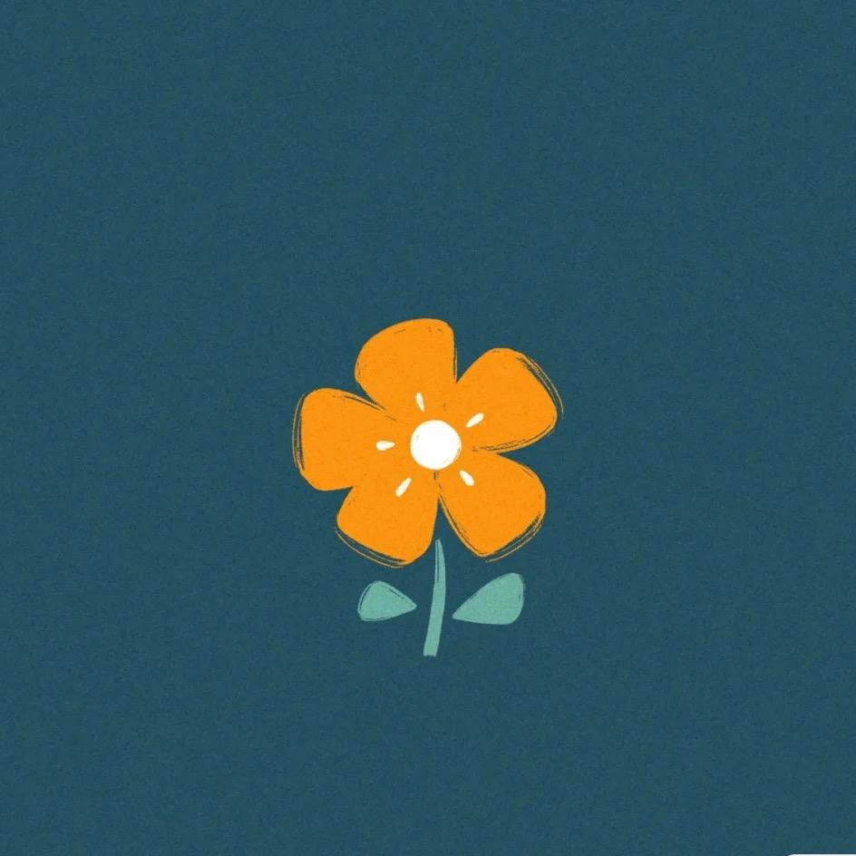 即墨区楠林女装卫衣工厂店