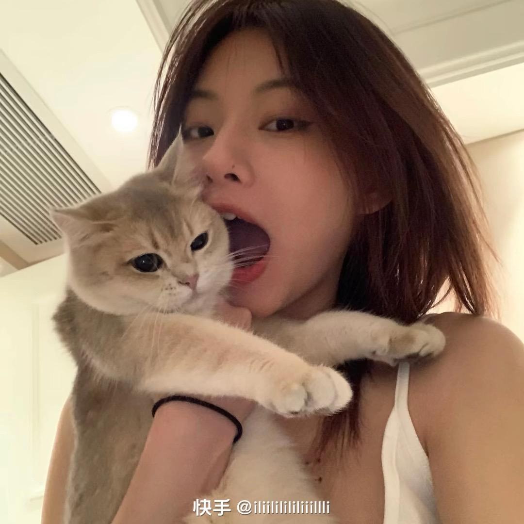 雾会散.