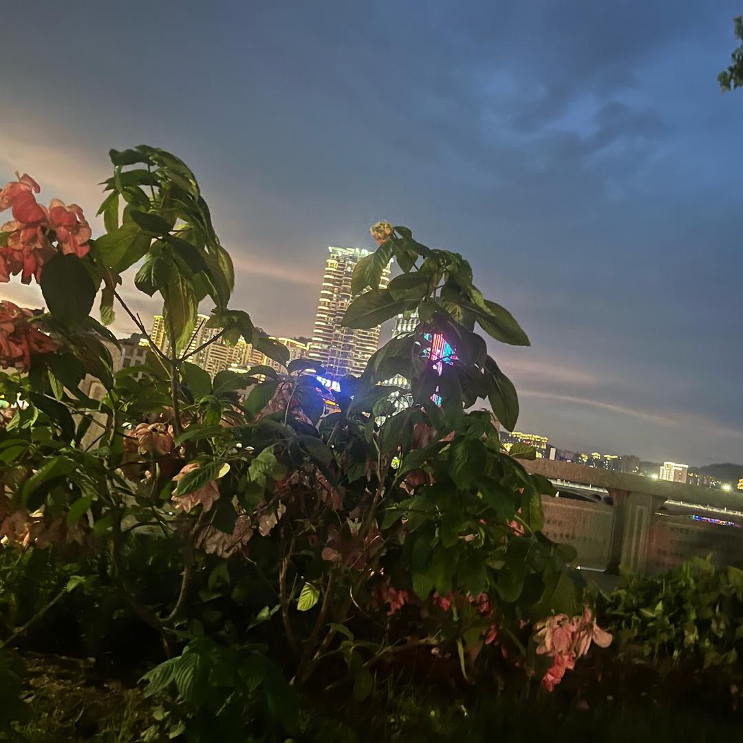机智盒