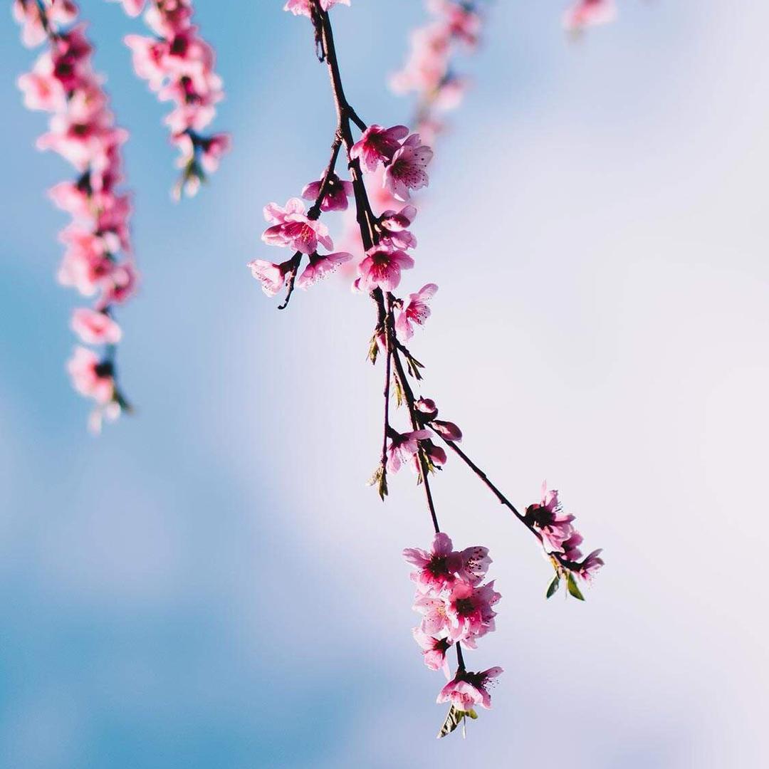 @简