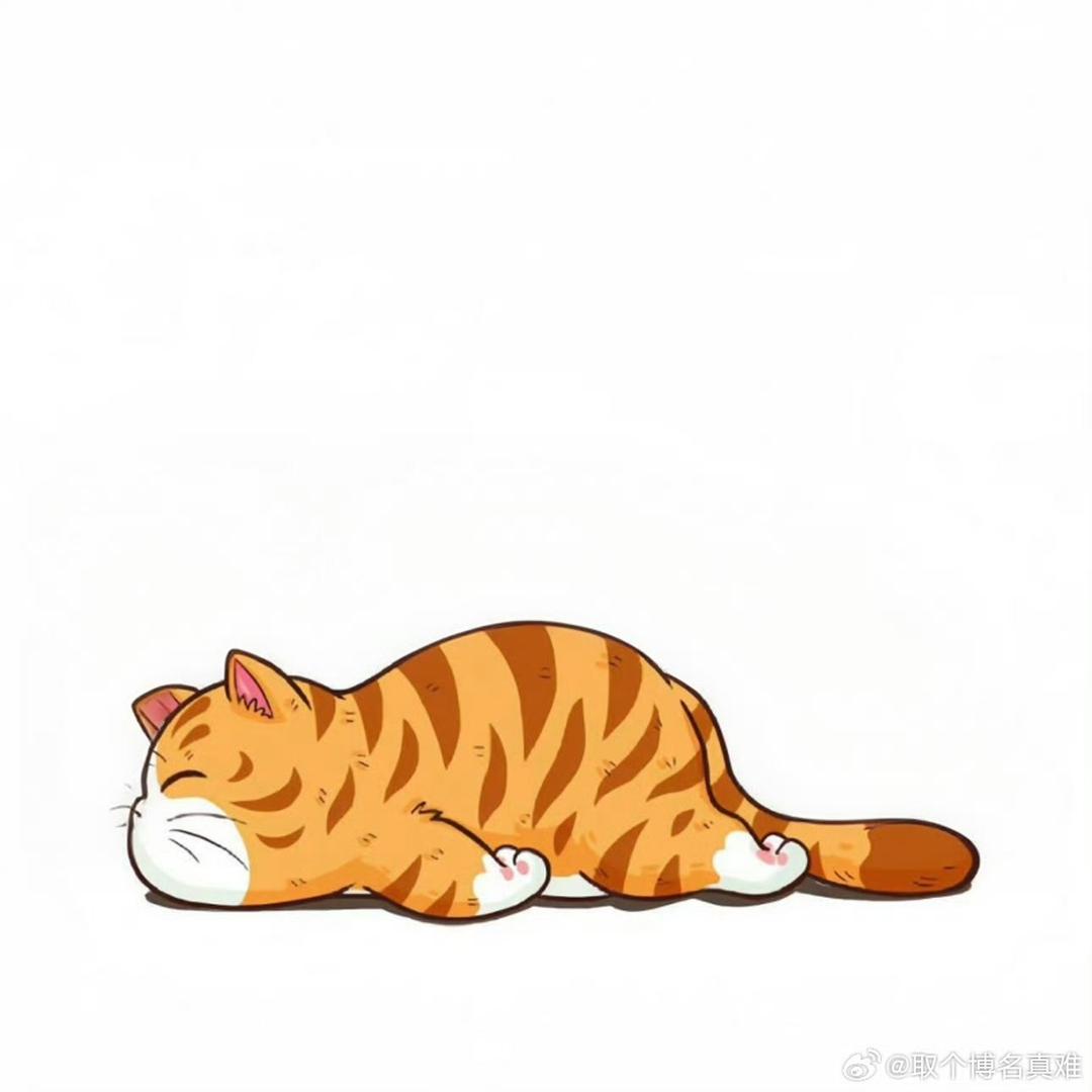凌晨(˵¯͒〰¯͒˵)一点的猫