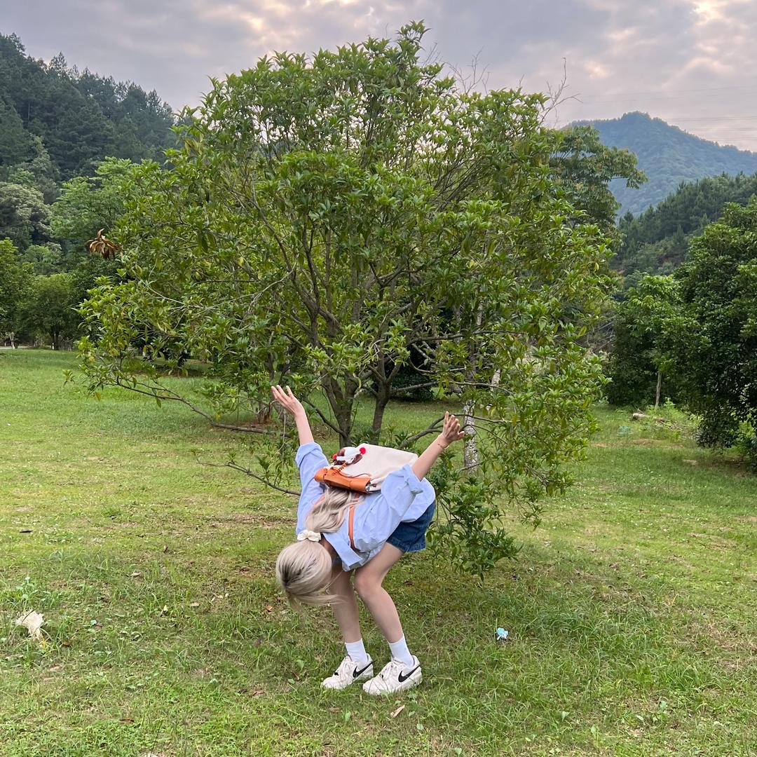 一口咸鱼（我掉了五千粉。