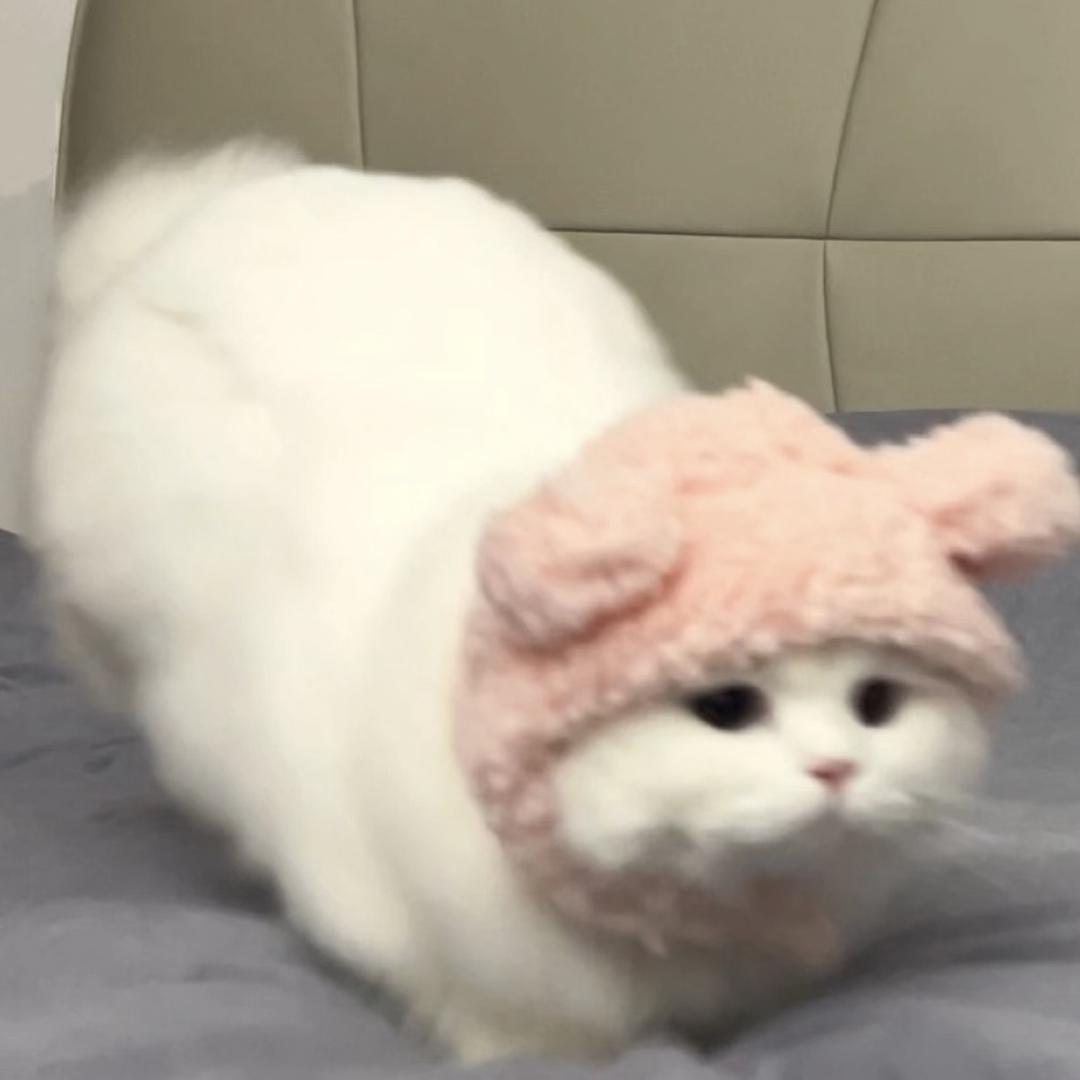 壳泡数码