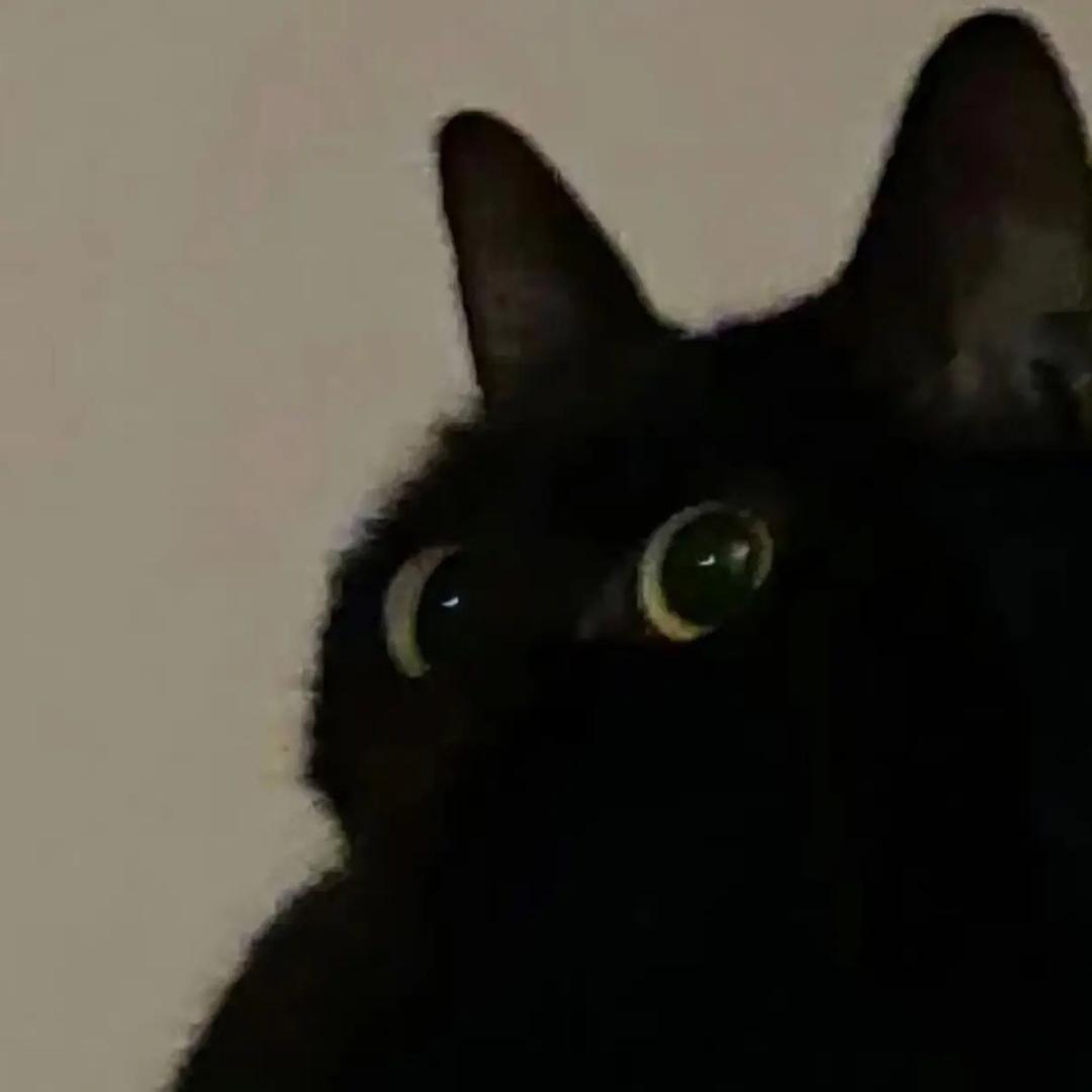 叮当猫