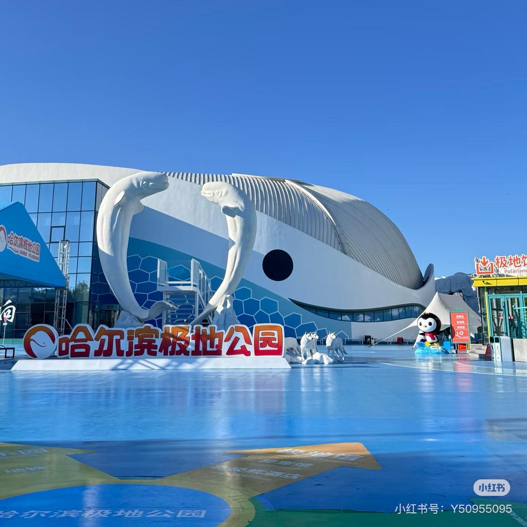 东北旅游找搭子