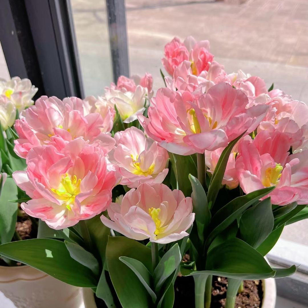 小云儿花坊