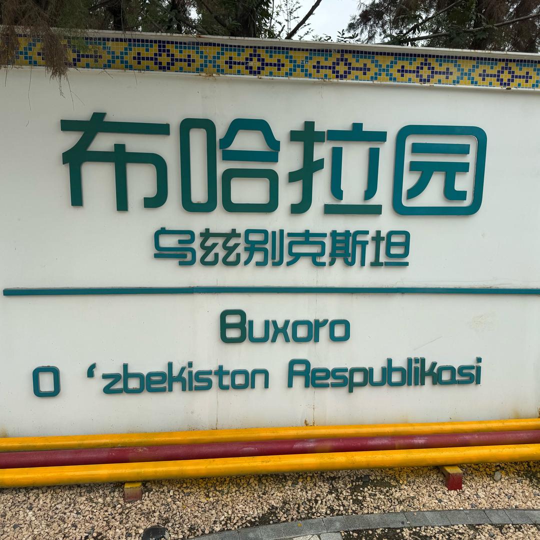李什么李🍉