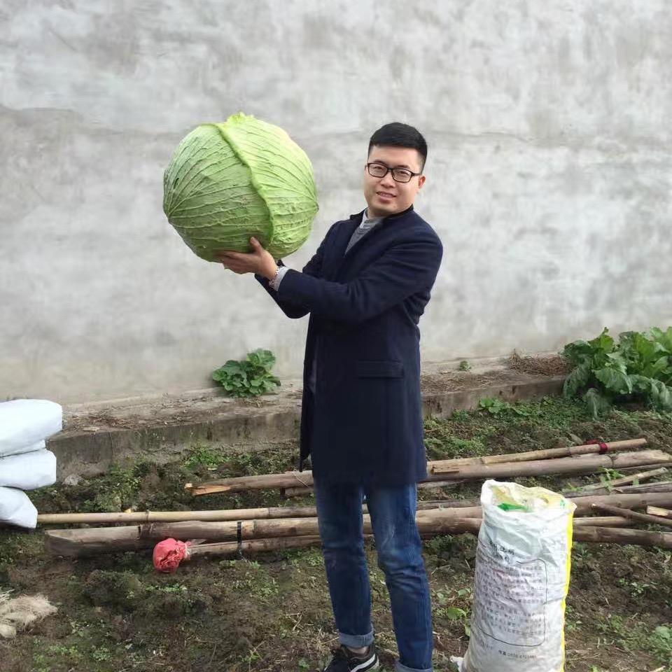 聪哥