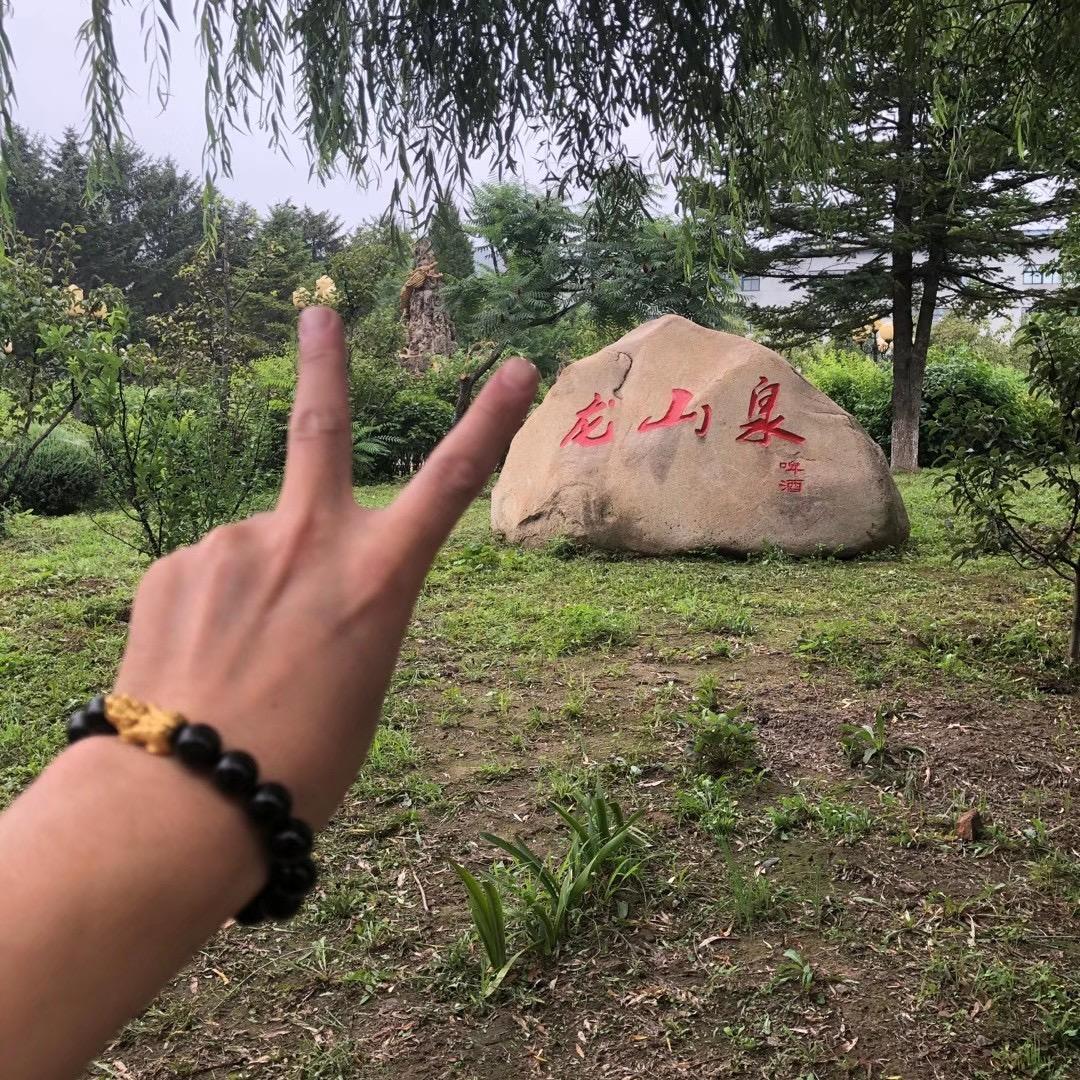 龙山泉代理批发