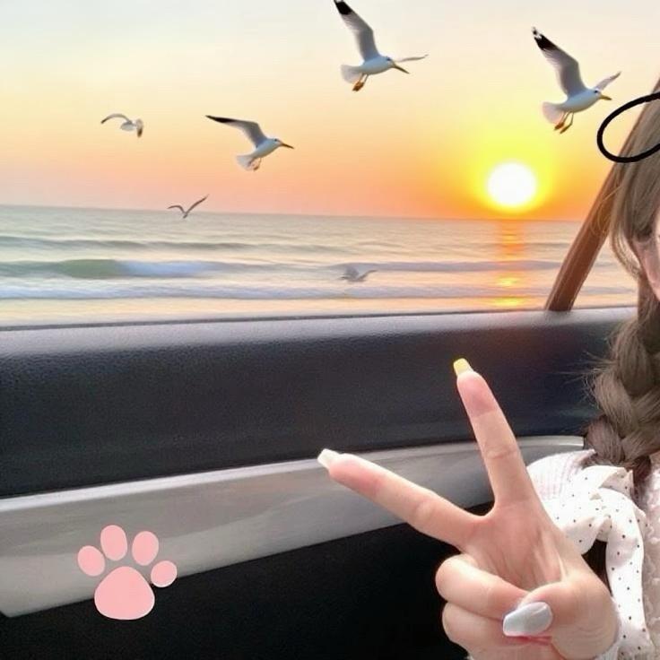 鱼鱼
