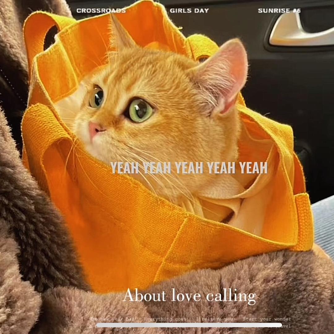 邓噔噔 噔噔 邓呀