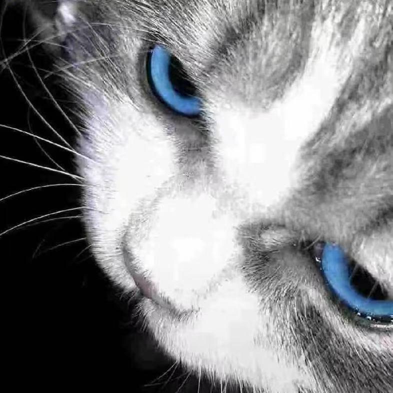 yzking⁷ᵏᵘ 【无畏契约】