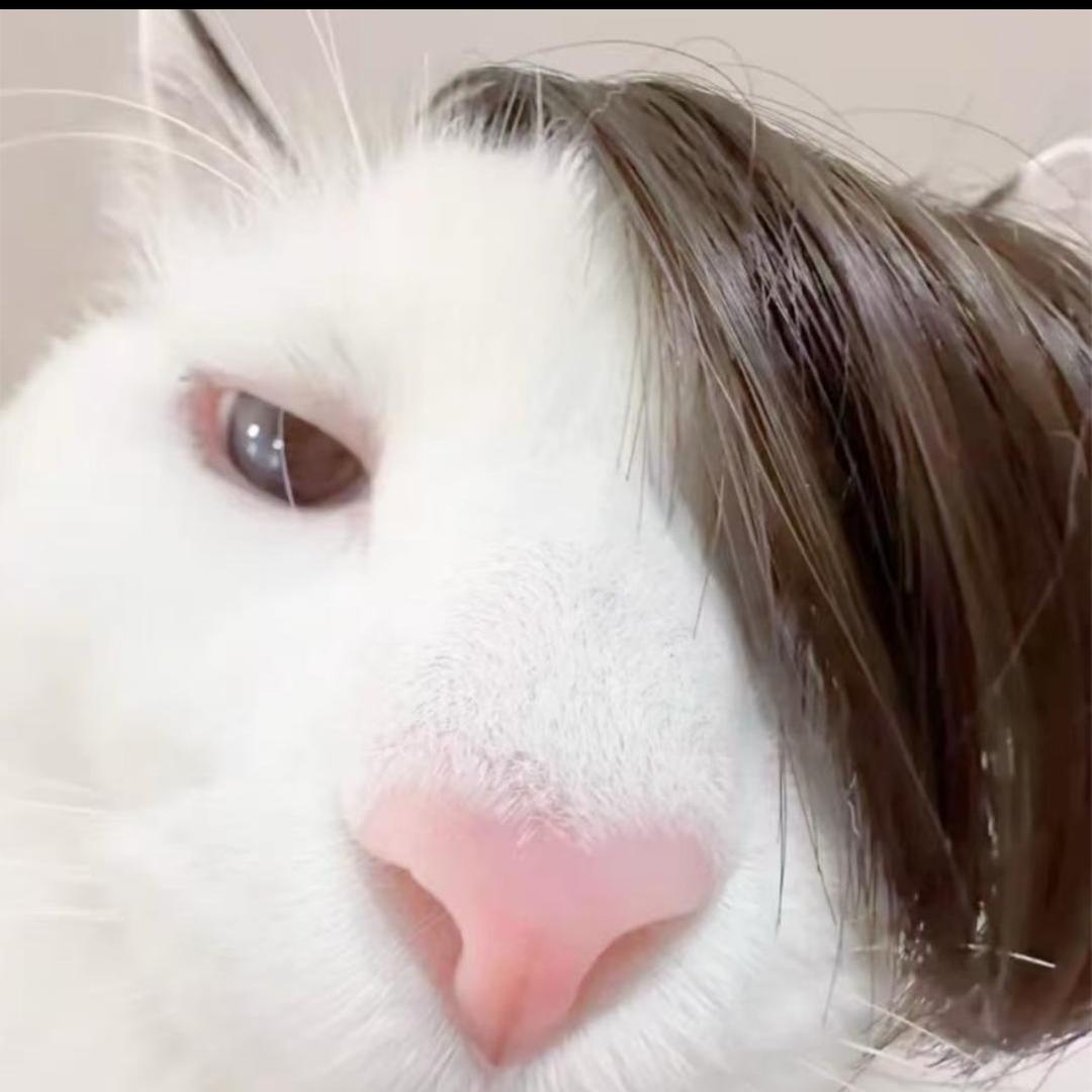 范叶青