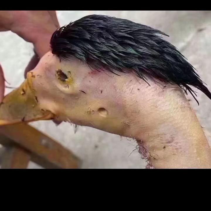 90後废旧金属回收