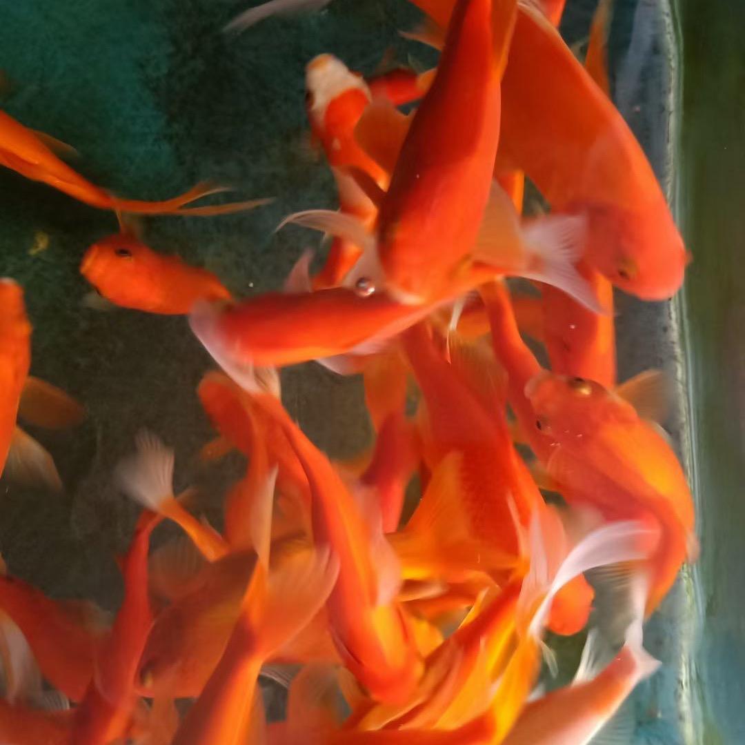 不忘初心～方得始终