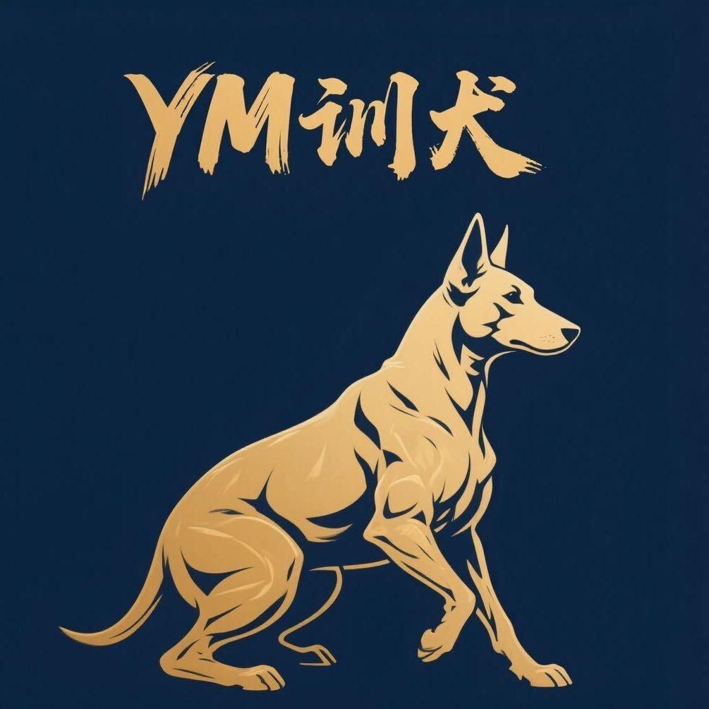 YM的宠物店