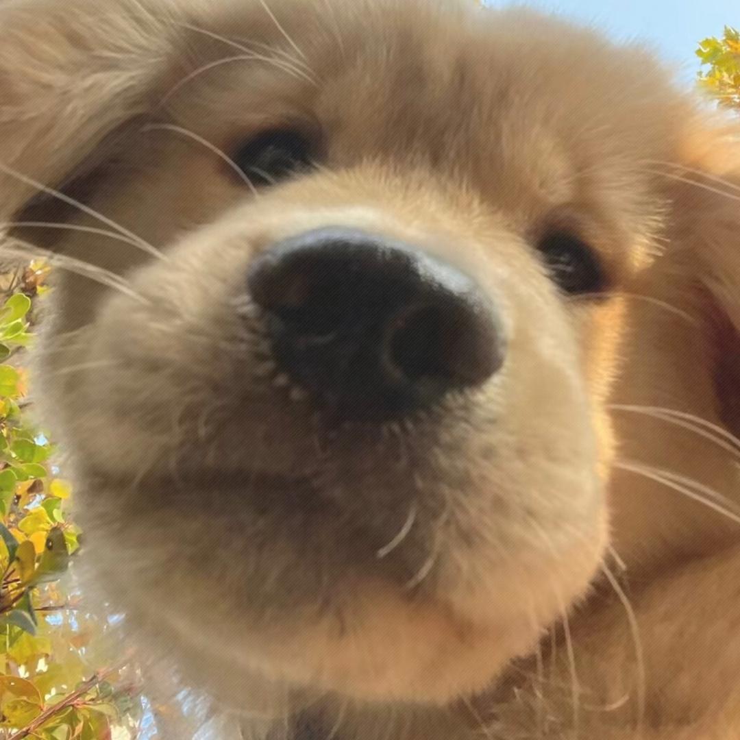 好运滚滚来之坐享其成发大财