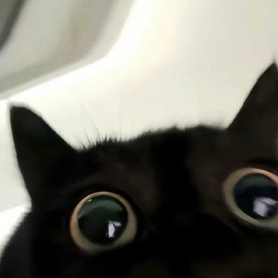 ᅠᅠᅠᅠᅠᅠ   ᅠᅠ