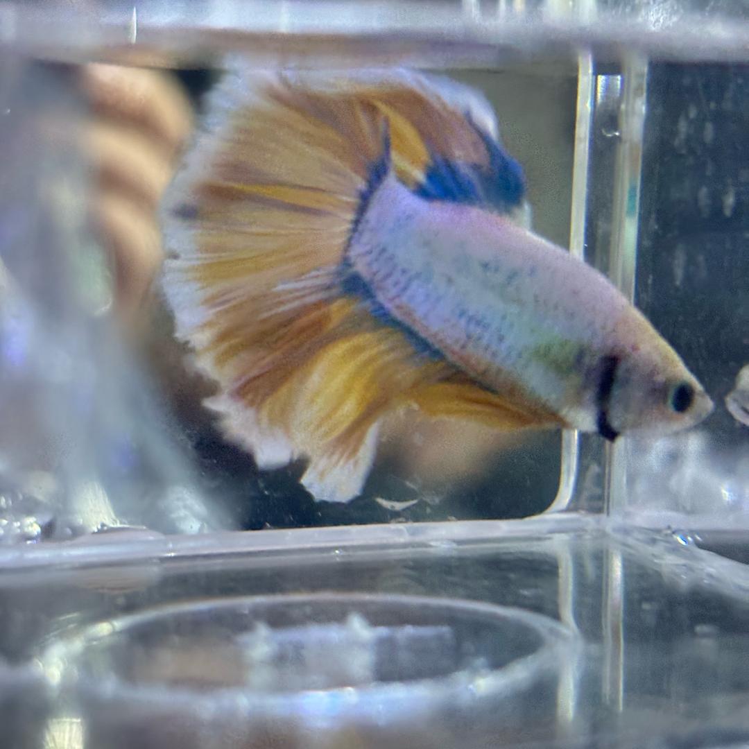 广州涛祥商贸商行-贵时