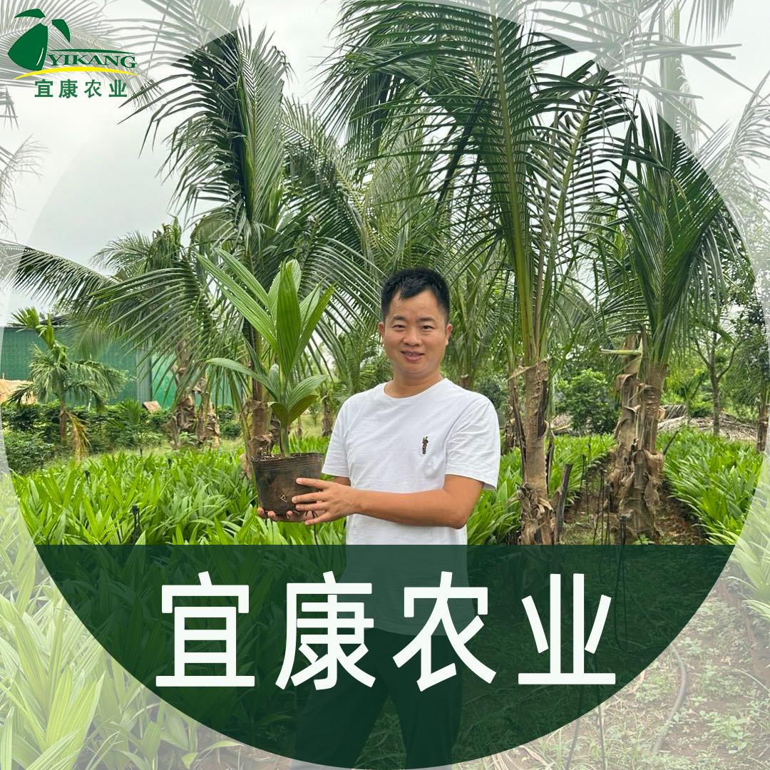 宜康农业-开心农民小江