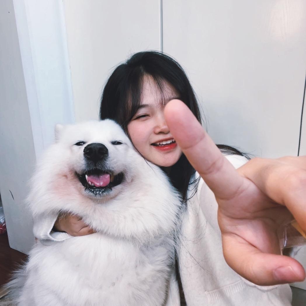 梦大人
