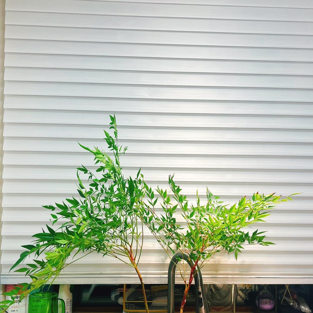 晚礼📈