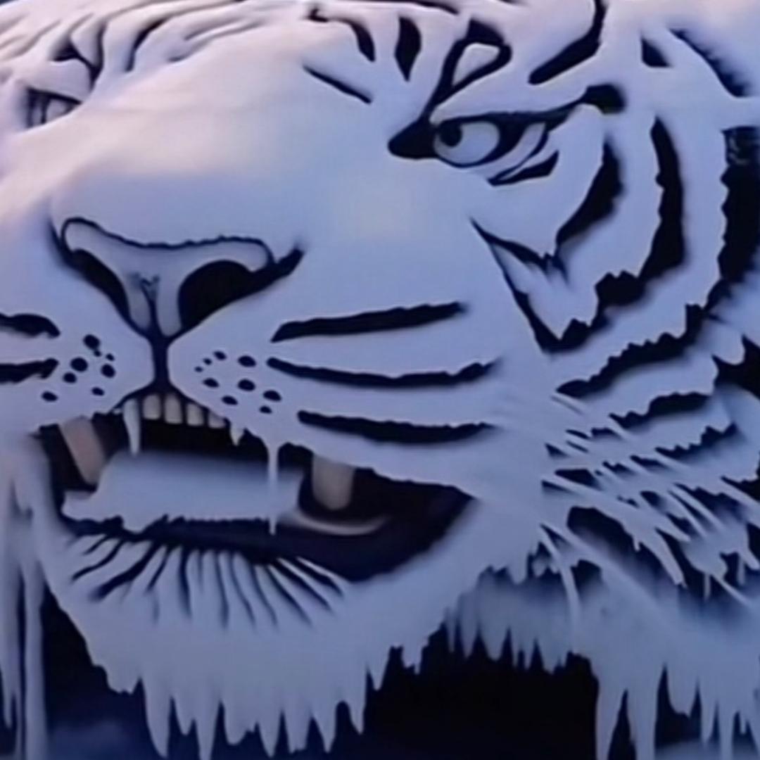 ⭐️⭐️⭐️💕   💕⭐️⭐️⭐️