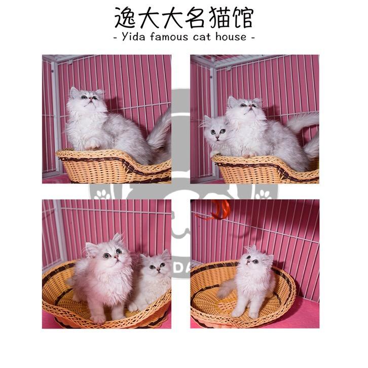 老板娘的打工日常