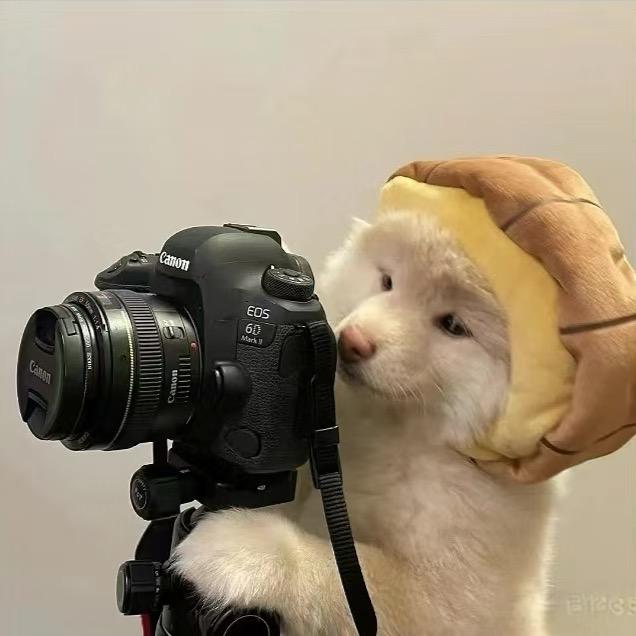 反桂帮主 孤芯i