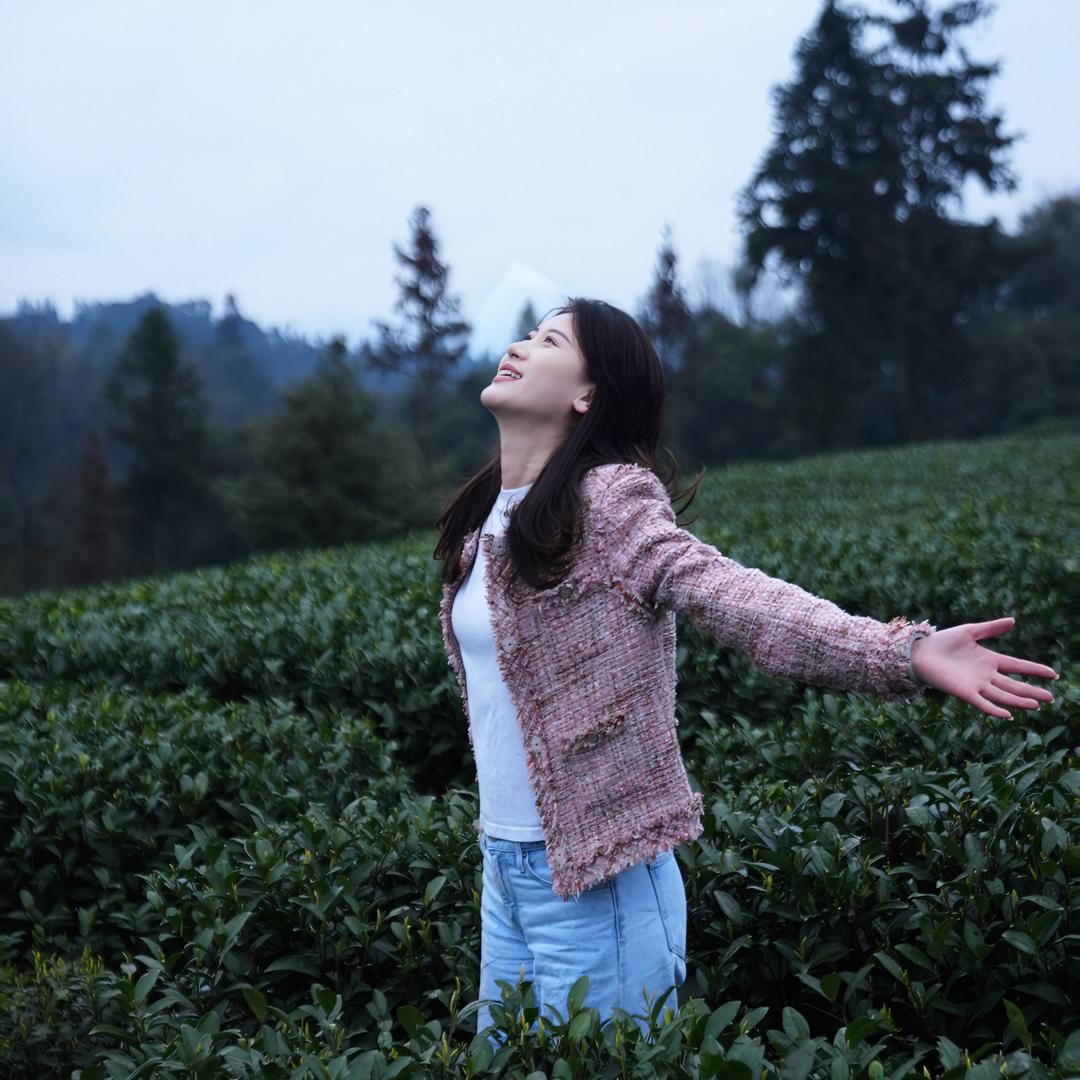 龙井茶庄美琪的茶