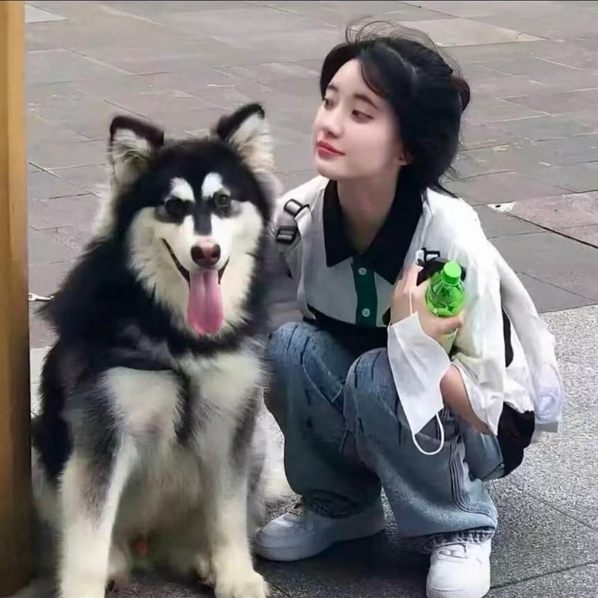 杨yy