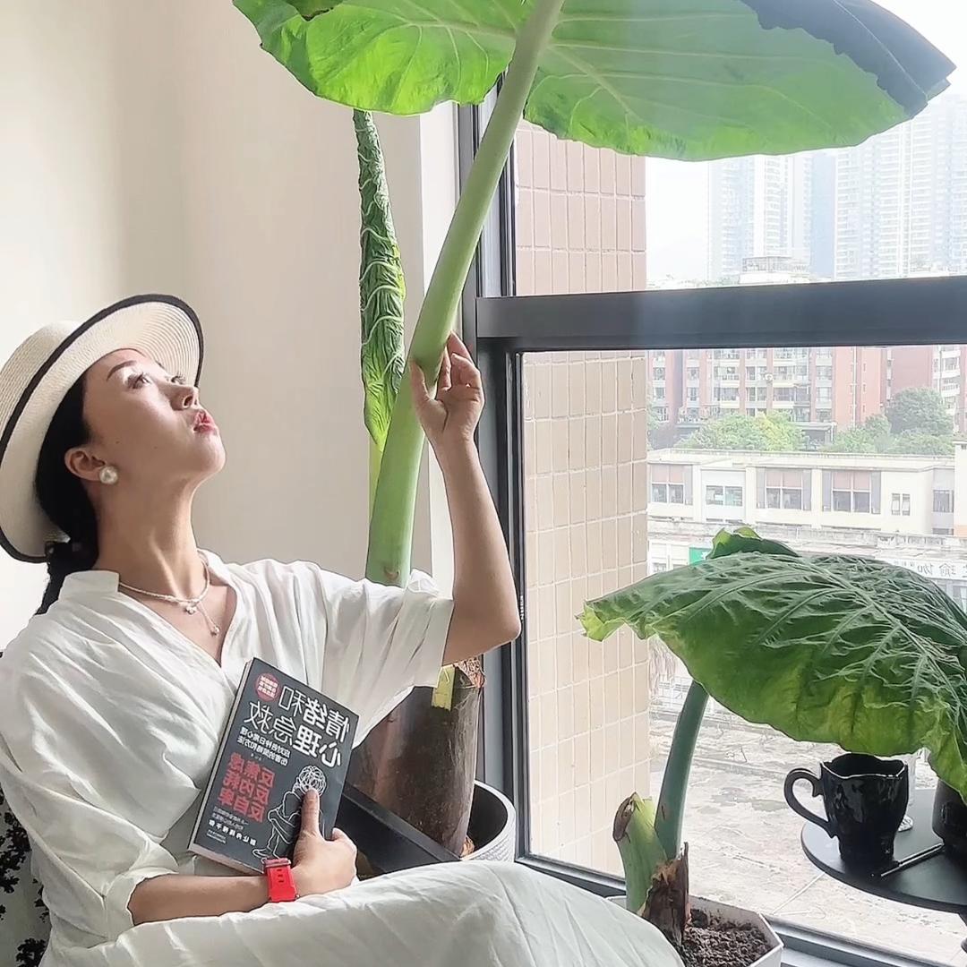 她与象耳芋🌷