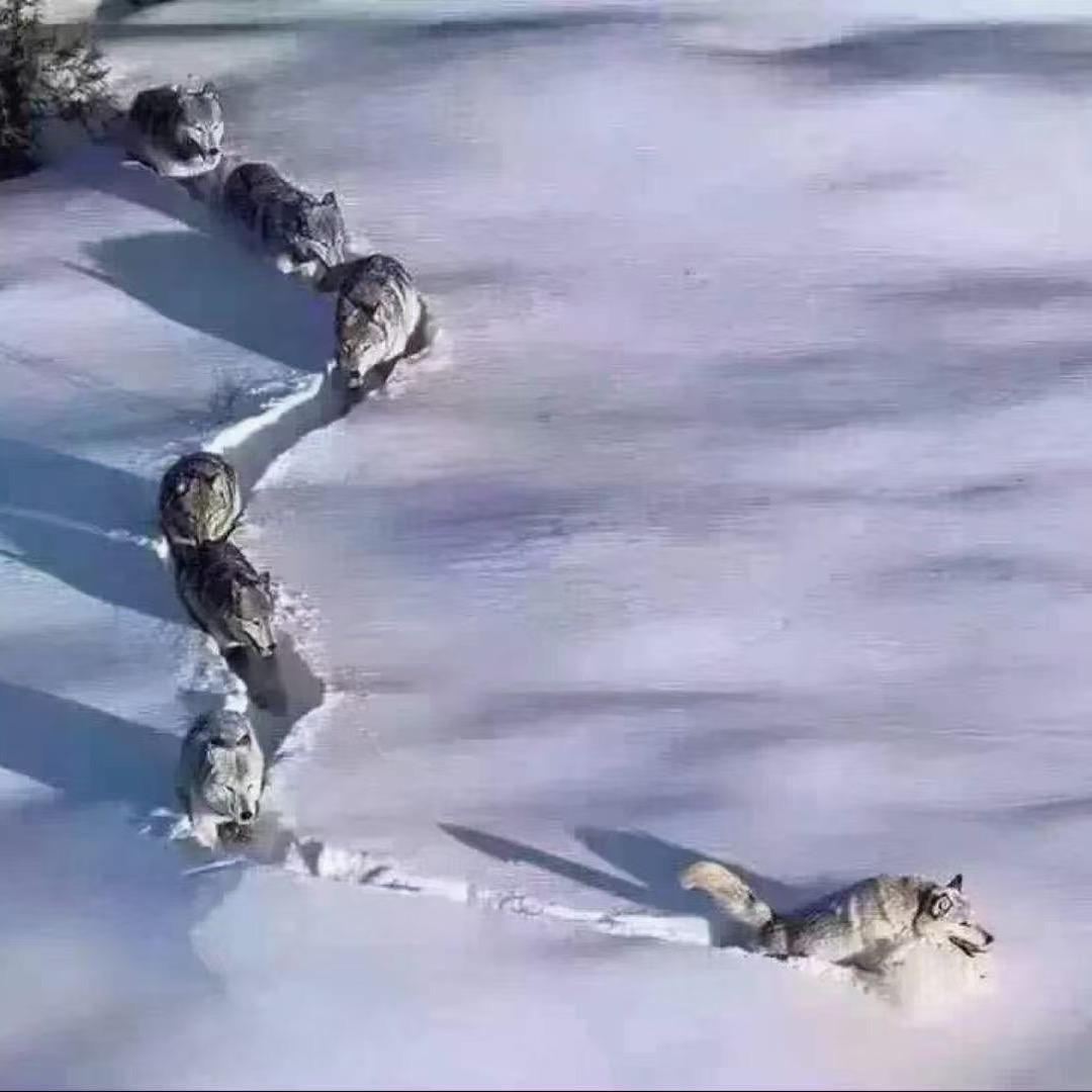 拾荒者.