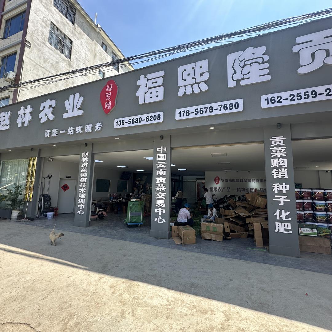 赵林贡菜食品店