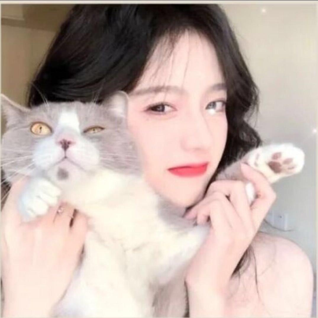 爱睡觉的ju