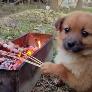 天天