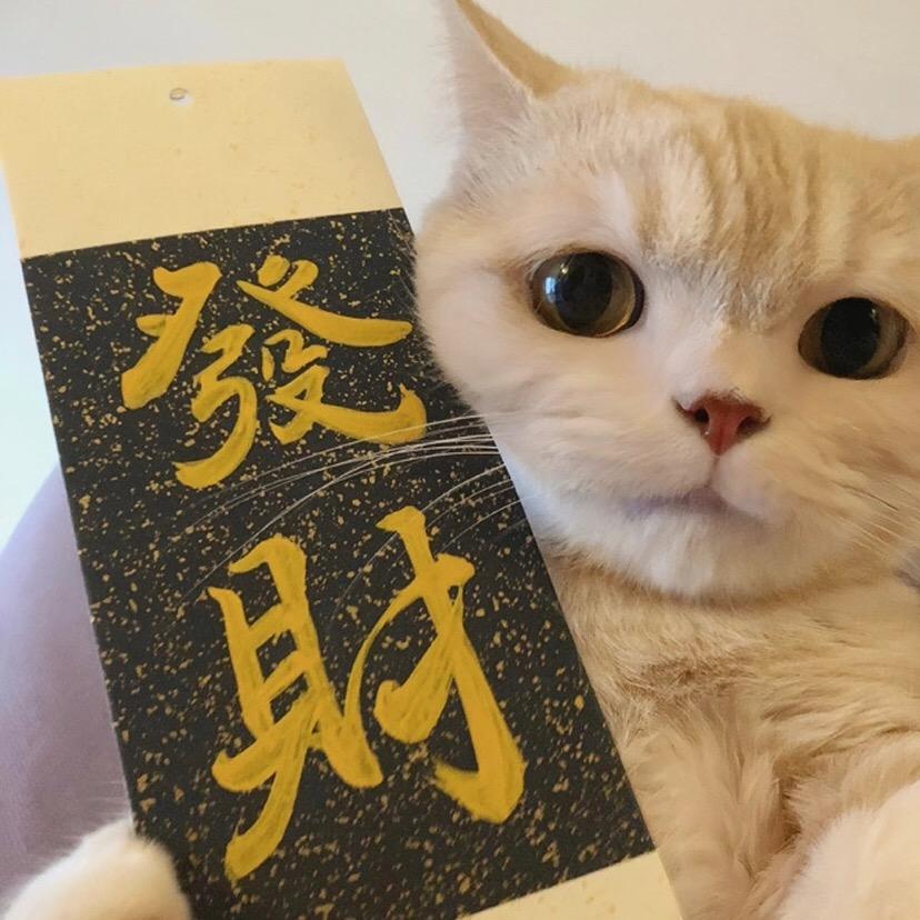 钱途无量-