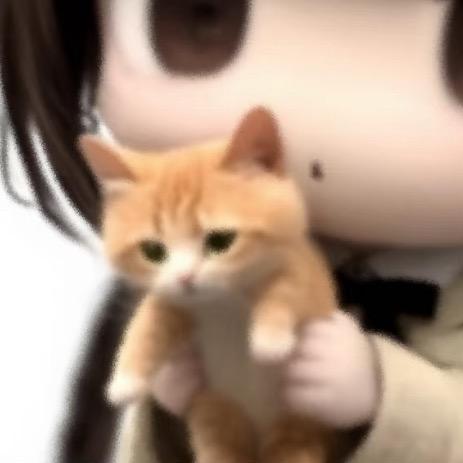 柯乌安