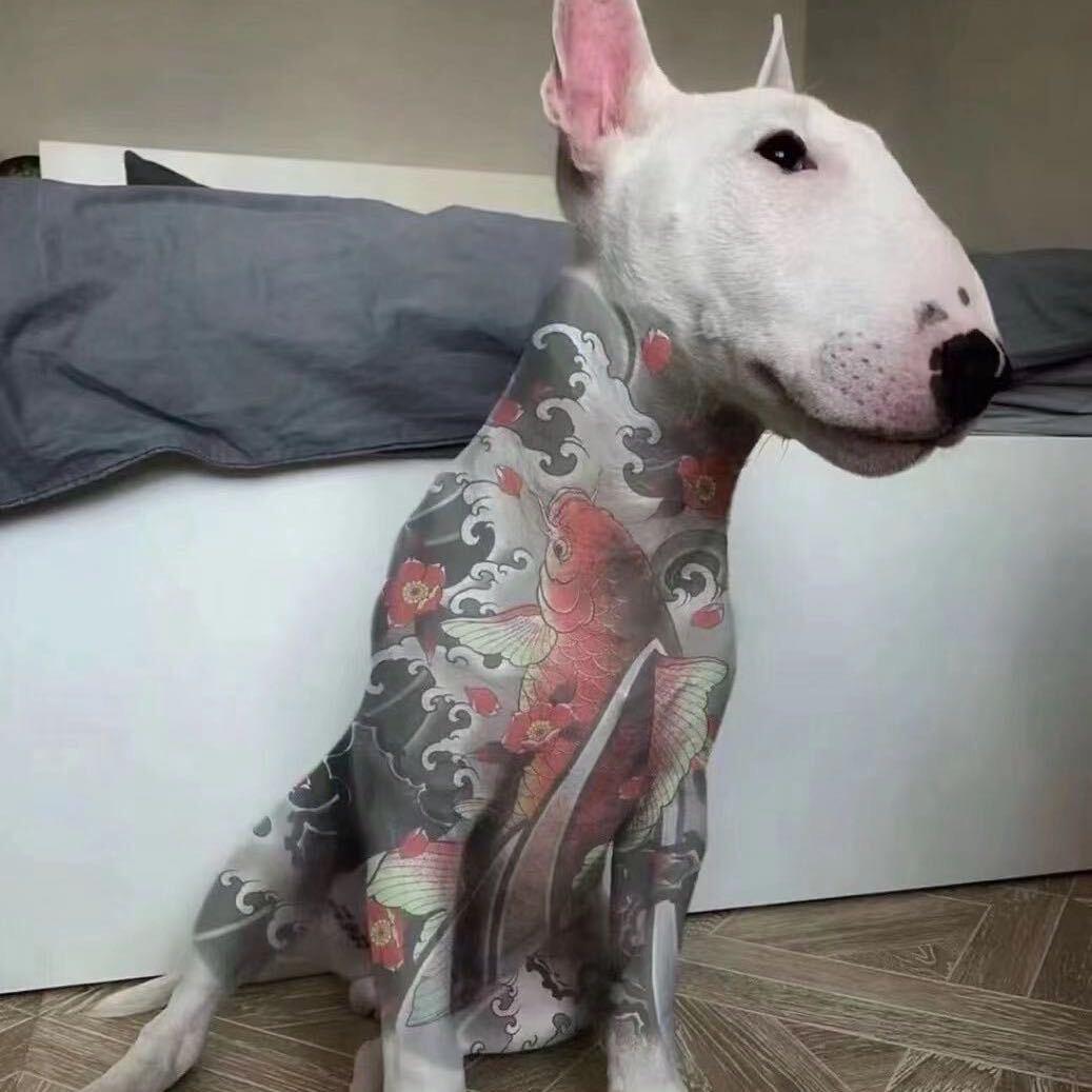 ℡小人物