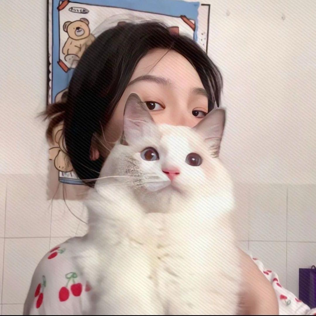 猫猫我主打真诚