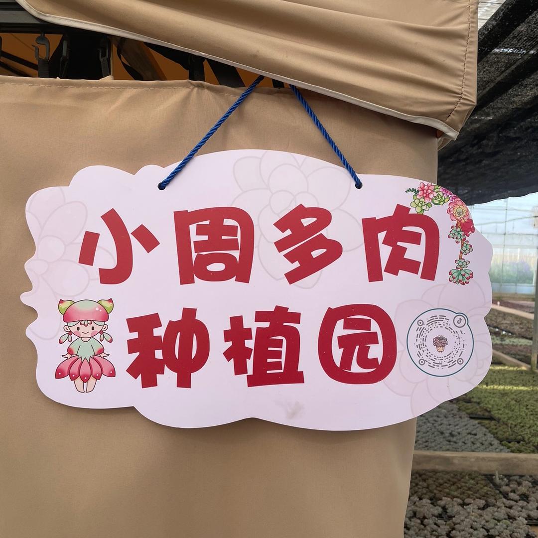 小周多肉种植园
