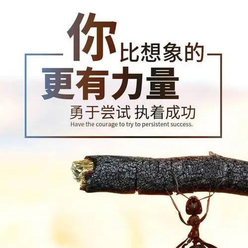 足球阿㰼