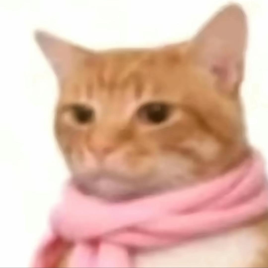 卷毛小狗՞˶•֊•˶՞ಣ