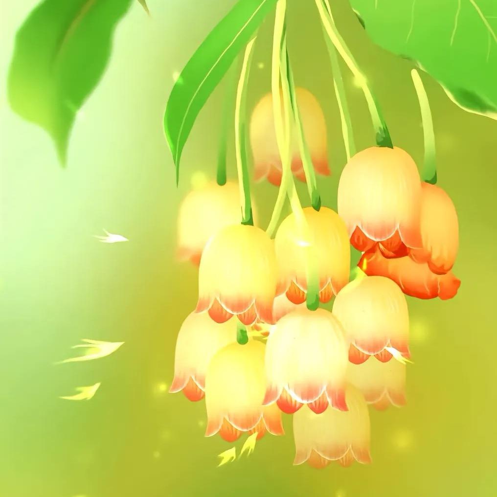 原又圆