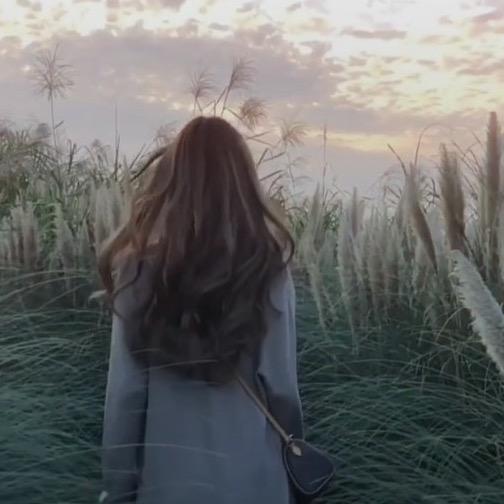 w̶`̶s̶n̶o̶w̶`̶Y̶