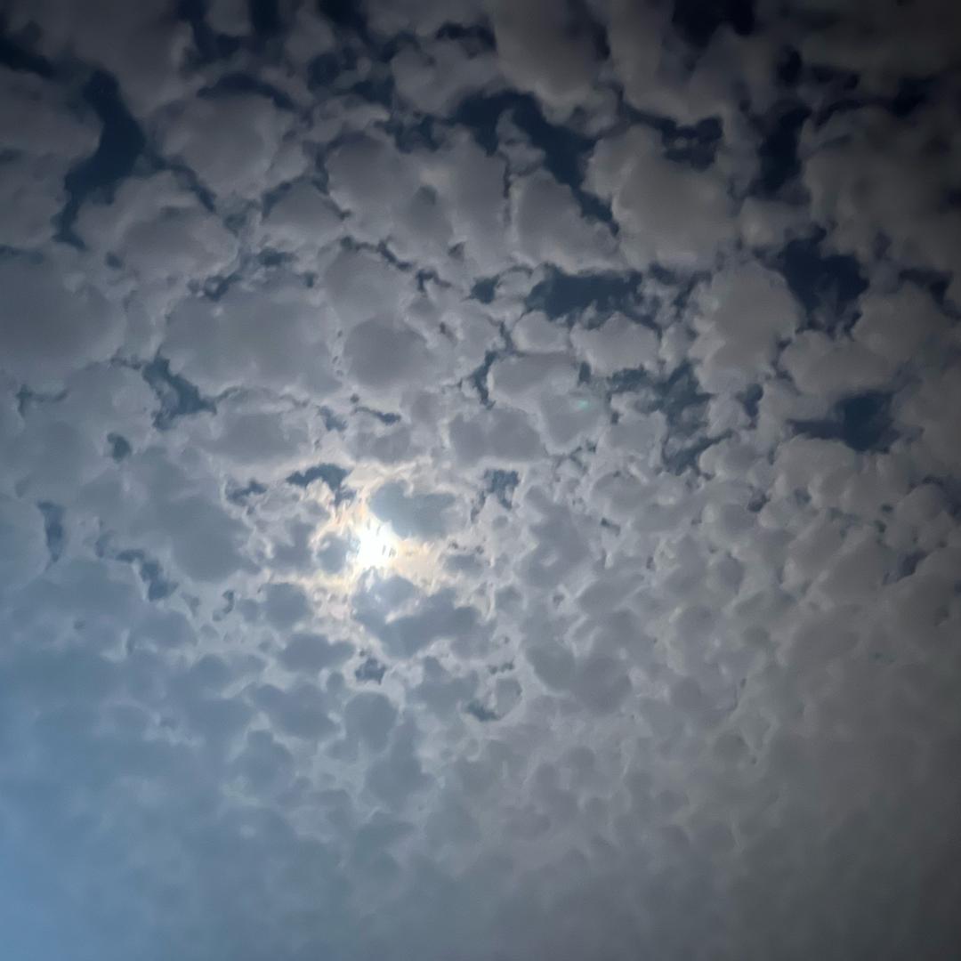 猛踹瘸子那条好腿🦵🏻