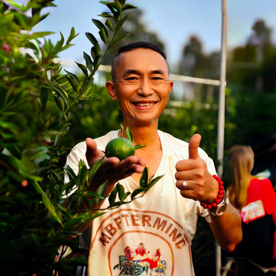 顺德老潘（8号英德红茶百万专场）
