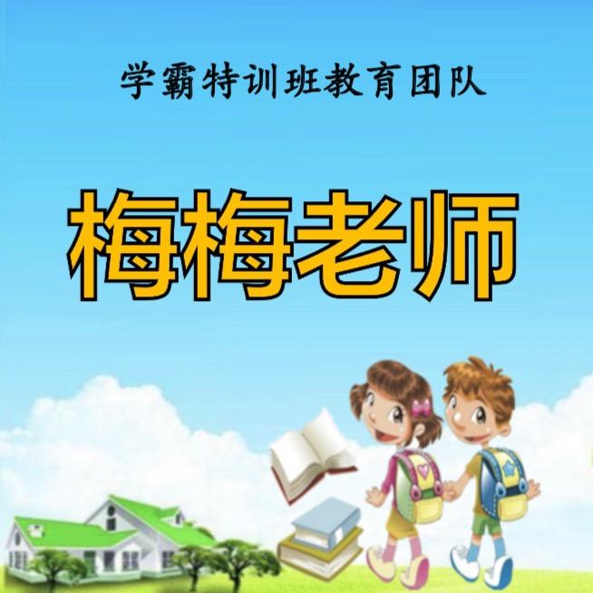 梅梅老师大号（五六七）人教版深度陪跑